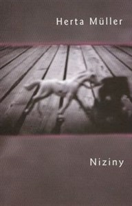 Niziny