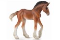 Źrebię Clydesdale Bay M - 