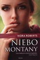 Niebo Montany