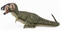 Dinozaur Daspletosaurus L - 