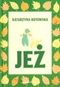 Jeż - Katarzyna Kotowska