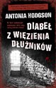 Diabeł z więzienia dłużników