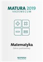 Matematyka Matura 2019 Vademecum Zakres postawowy - Kinga Gałązka