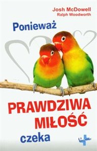 Ponieważ prawdziwa miłość czeka - Księgarnia Niemcy (DE)