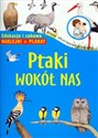 Ptaki wokół nas 