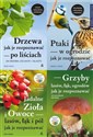 Pakiet: Ptaki/Drzewa/Grzyby/Jadalne zioła i owoce - Daniel Straub, Meike Bosch, Hans E.Laux, Rudi Bei