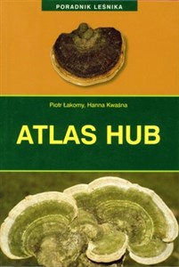 Atlas hub - Księgarnia Niemcy (DE)