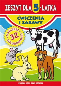 Zeszyt dla 5-latka Ćwiczenia i zabawy