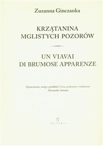 Krzątanina mglistych pozorów - Księgarnia Niemcy (DE)