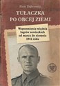 Tułaczka po obcej ziemi Wspomnienia więźnia łagrów sowieckich od marca do sierpnia 1941 roku - Piotr Dąbrowski