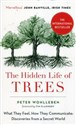 The Hidden Life of Trees