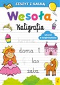 Wesoła kaligrafia Literki z księżniczkami Zeszyt z kalką