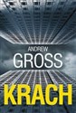 Krach - Andrew Gross
