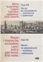 Miasta i miasteczka wschodniej części Galicji pod koniec XVIII wieku Tom 7 Miasta na pograniczach - konteksty i odniesienia - 