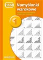 PUS Namyślanki wzrokowe 1  - Agata Indrychowska