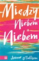 Między niebem a niebem - Joanne O’Sullivan