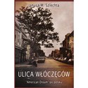 Ulica Włóczęgów American dream po polsku - Janusz Szlechta
