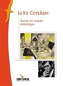 Świat na wspak Antologia - Julio Cortazar