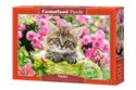 Puzzle Kitten In Flower Garden 500 - 