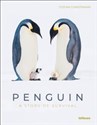 Penguin A Story of Survival  - Stefan Christmann