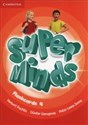 Super Minds Flashcards 4 Pack of 89