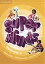 Super Minds Flashcards 5 Pack of 93