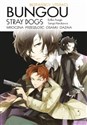 Bungou stray dogs. Light novel. Przeszłość Osamu Dazaia - Shiwasu Hoshikawa, Asagiri Kafka