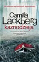 Kaznodzieja - Camilla Läckberg