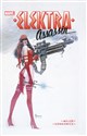 Elektra - Assassin - Frank Miller