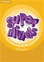 Super Minds 5 and 6 Tests CD