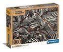 Puzzle 1000 compact National Geographic Zebry 39729 - 